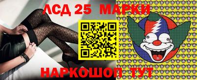прущие грибы Будённовск