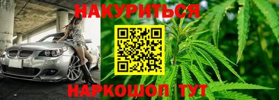 прущие грибы Будённовск
