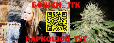 прущие грибы Будённовск
