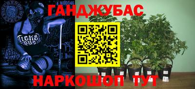 прущие грибы Будённовск
