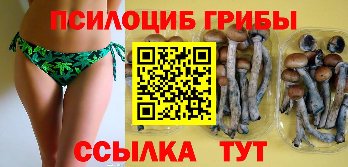 Псилоцибиновые грибы Psilocybine cubensis  Вход с VPN  Псилоцибиновые грибы мухоморы  Кореновск 